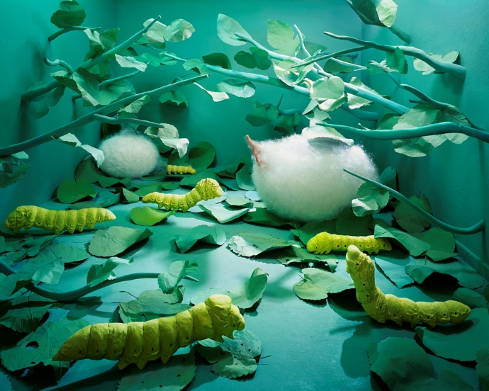 Birthday_120x96cm_pigment print_2009
